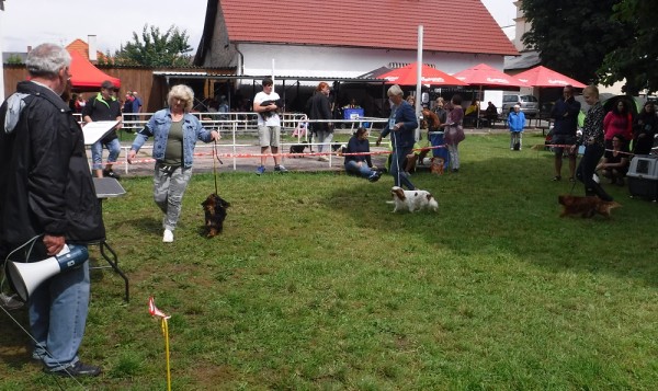 KV 2020-I, 11.7.2020, Městec Králové